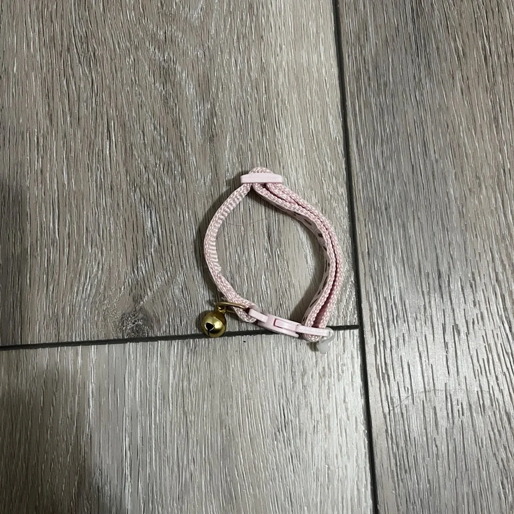 gold and pink kitten collar!
